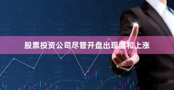 股票投资公司尽管开盘出现温和上涨